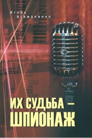 Buchcover: Ich sud′ba - špionaž (12+)