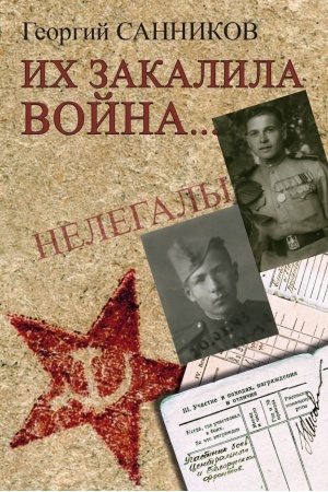 Обложка: Их закалила война… (к 75 летию Великой Победы)