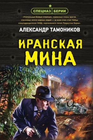 Buchcover: Iranskaja mina