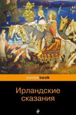 Обложка: Ирландские сказания: магия, битвы, чудеса