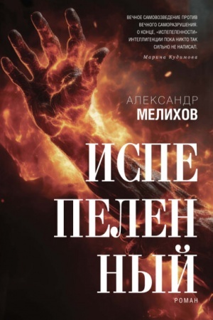 Buchcover: Ispepelennyj (tverd. per.)