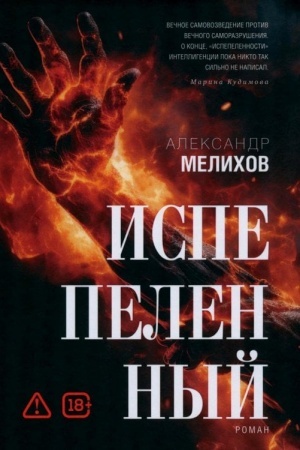 Обложка: Испепеленный
