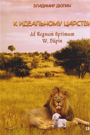 Cover: K ideal′nomu carstvu. Ad Regnum Optimum