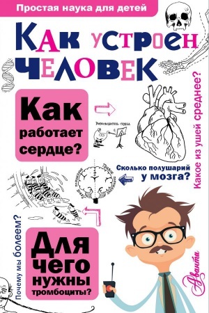 Cover: Kak ustroen chelovek