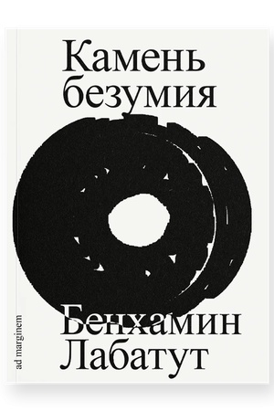 Buchcover: Kamen′ bezumija