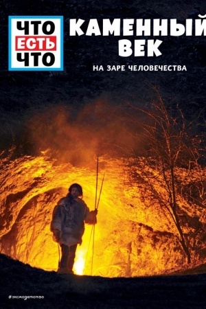 Cover: KAMENNYJ VEK. Na zare chelovechestva