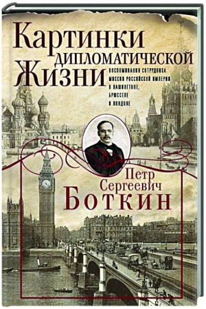 Buchcover: Kartinki diplomatičeskoj žizni. Vospominanija sotrudnika missii Rossijskoj imperii v Vašingtone, Brjus