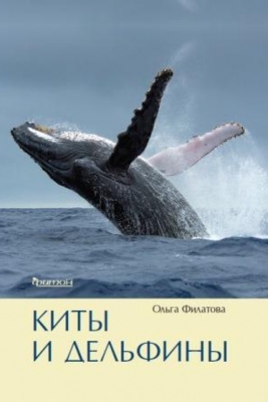 Buchcover: Kity i del&prime;finy