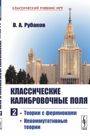 Buchcover: Klassičeskie kalibrovočnye polja: Teorii s fermionami. Nekommutativnye teorii