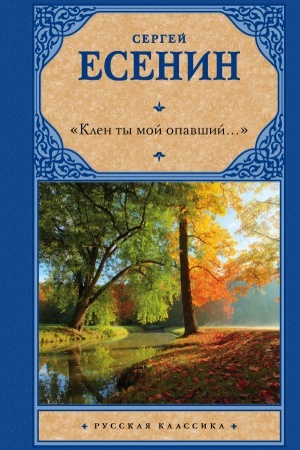Buchcover: Klen ty moj opavšij...