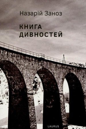 Cover: Knyha dyvnostey