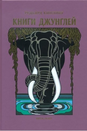 Обложка: КНИГИ ДЖУНГЛЕЙ