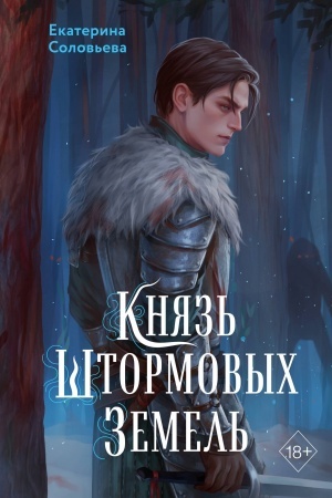 Cover: Knyaz′ SHtormovych Zemel′