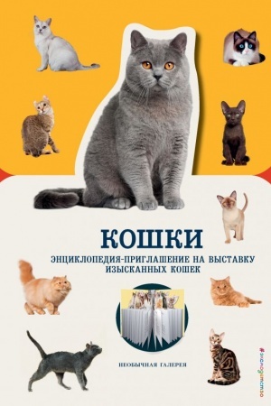 Обложка: Кошки