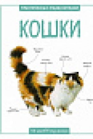 Cover: Koshki