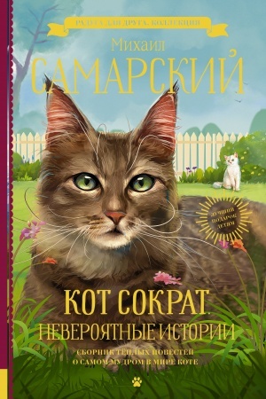 Обложка: Кот Сократ. Невероятные истории