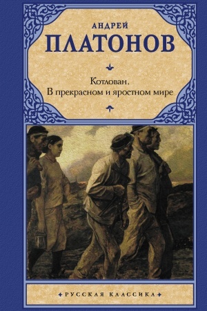 Обложка: Котлован. В прекрасном и яростном мире