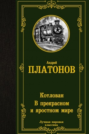 Cover: Kotlovan. V prekrasnom i yarostnom mire