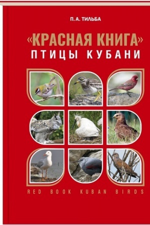 Cover: Krasnaya kniga: pticy Kubani