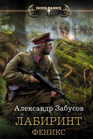 Cover: Labirint. Feniks