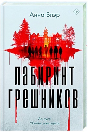Buchcover: Labirint grešnikov