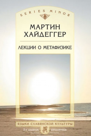 Обложка: Лекции о метафизике