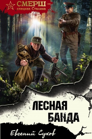 Cover: Lesnaya banda