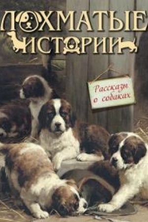 Cover: Lochmatye istorii. Rasskazy o sobakach.