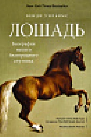 Buchcover: Lošad′. Biografija našego blagorodnogo sputnika