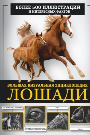 Обложка: Лошади. Большая визуальная энциклопедия