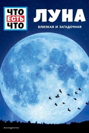 Cover: LUNA. Blizkaya i zagadochnaya