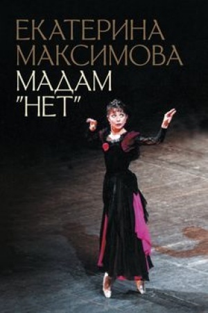Buchcover: Madam Net