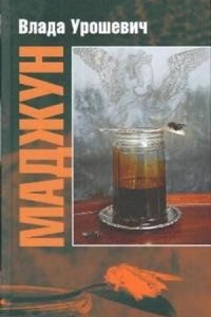 Cover: Madzhun: Roman