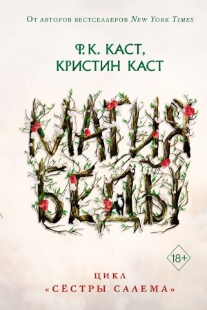 Обложка: Магия беды