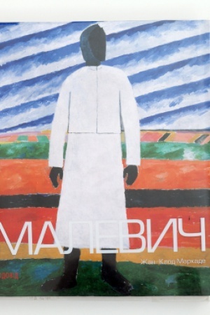 Buchcover: MALEVYČ