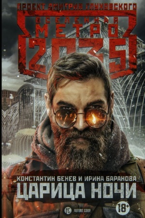 Cover: Metro 2035. Carica nochi