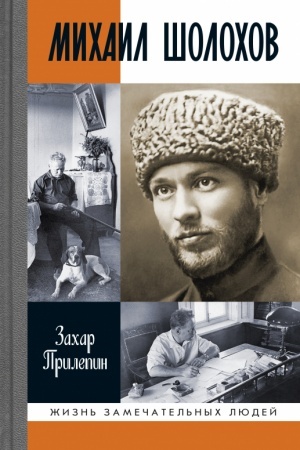 Cover: Michail SHolochov. Nezakonnyj