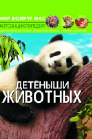 Обложка: Мир вокруг нас. Детеныши животных