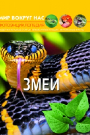 Buchcover: Mir vokrug nas. Zmei