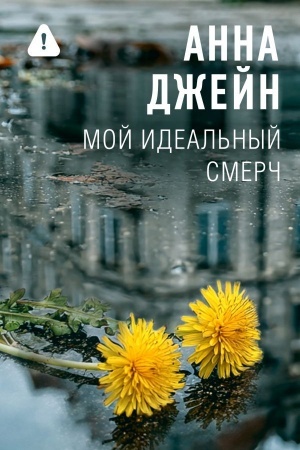 Buchcover: Moj ideal′nyj smerč