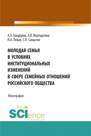 Cover: Molodaya sem′ya v usloviyach institucional′nych izmenenij v sfere semejnych otnoshenij rossijskogo obshhestva. (Aspirantura, Bakalavriat, Magistratura). Monografiya.