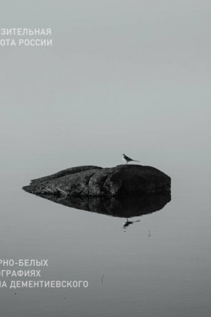 Buchcover: Monochrom. Pronzitel′naja krasota Rossii v černo-belych fotografijach Ivana Dementievskogo