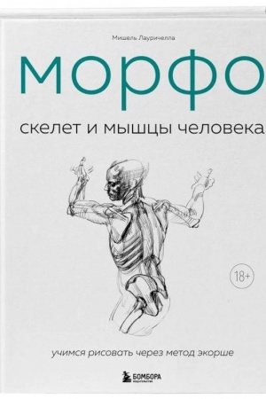 Cover: MORFO. Skelet i myshcy cheloveka. Anatomiya dlya chudozhnikov