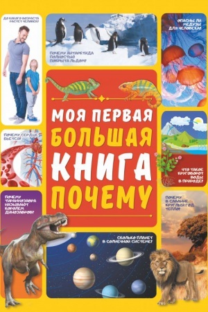 Cover: Moya pervaya bol′shaya kniga POCHEMU