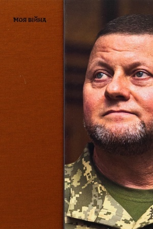 Buchcover: Moja vijna