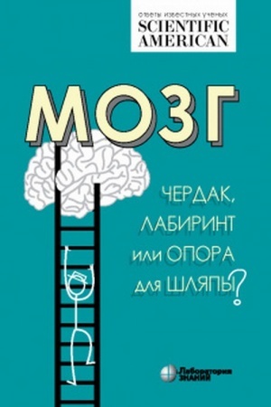 Buchcover: Mozg: čerdak, labirint ili opora dlja šljapy?