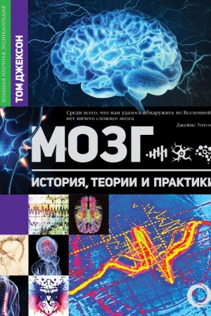 Cover: Mozg. Istoriya, teorii i praktiki