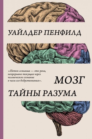 Cover: Mozg. Tajny razuma