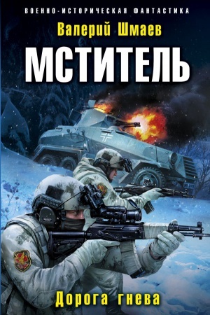 Обложка: Мститель. Дорога гнева