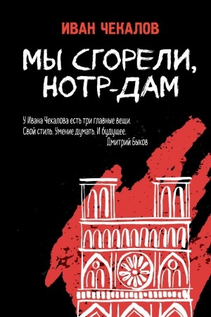 Обложка: Мы сгорели, Нотр-Дам
